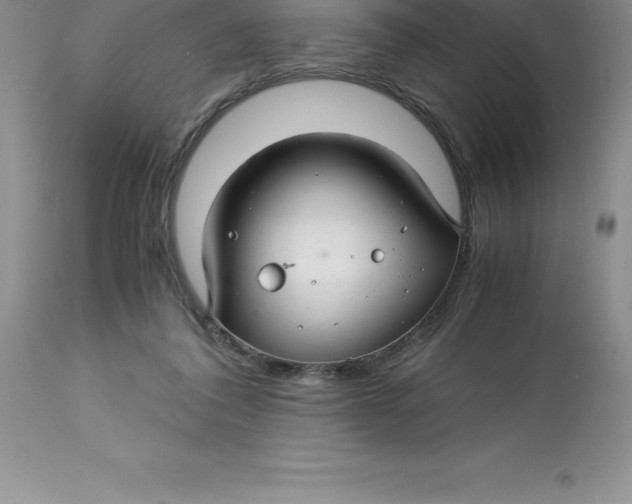 X0000112880308200909181854