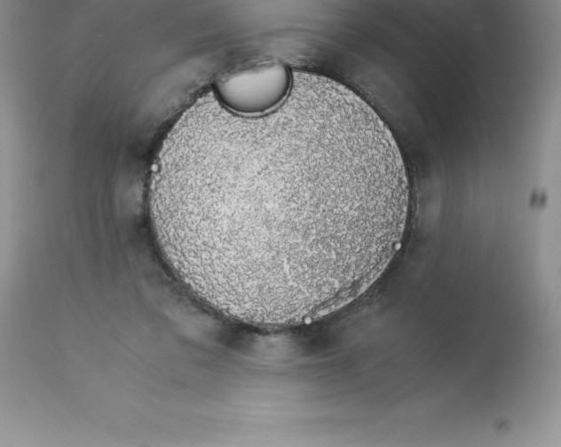 X0000112880309200909181854