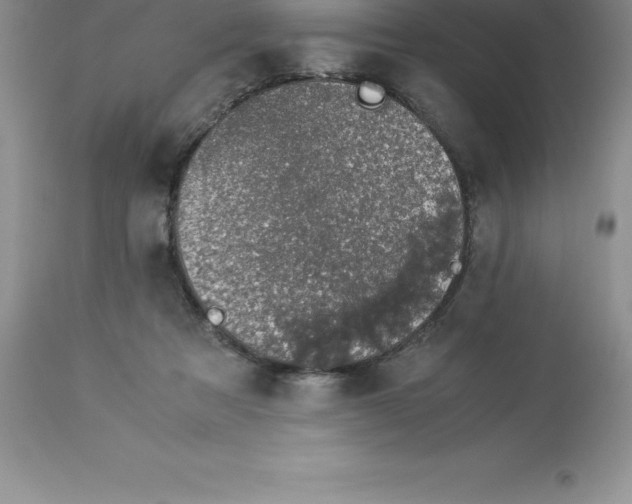 X0000112880313200909181854