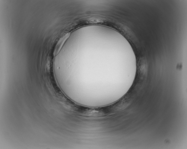 X0000112880315200909181854