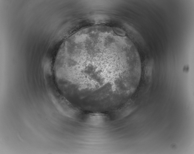 X0000112880316200909181854