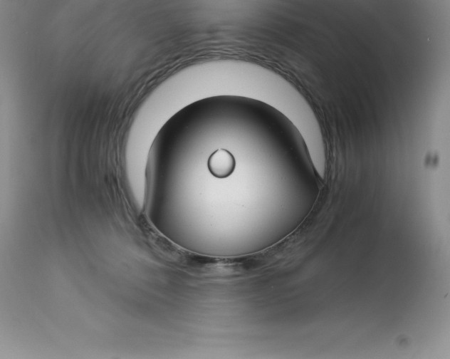 X0000112880320200909181854