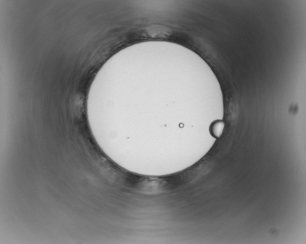 X0000112880321200909181854