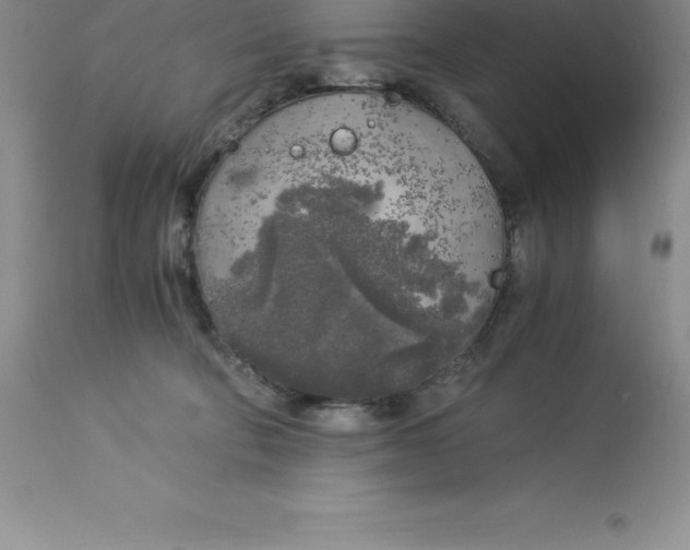 X0000112880322200909181854