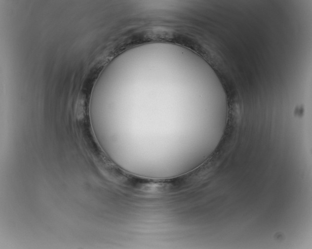 X0000112880323200909181854