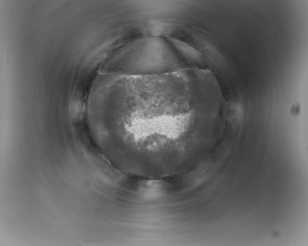 X0000112880324200909181854