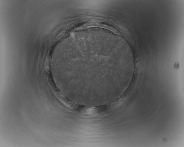 X0000112880325200909181854