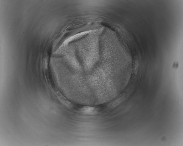 X0000112880326200909181854