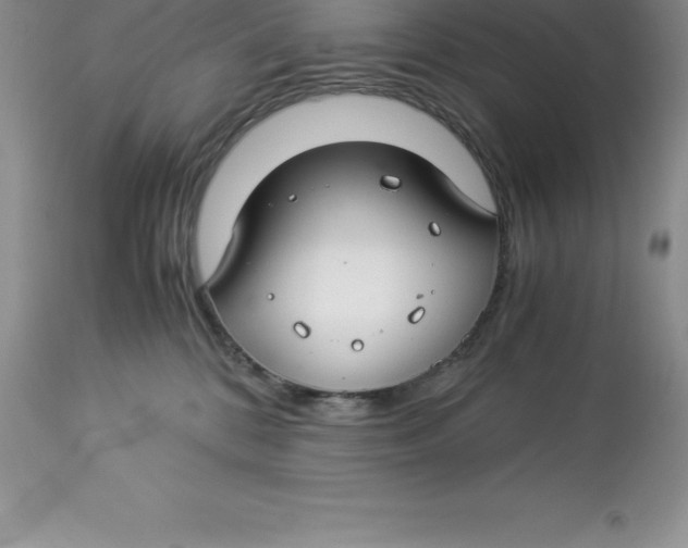 X0000112880328200909181854