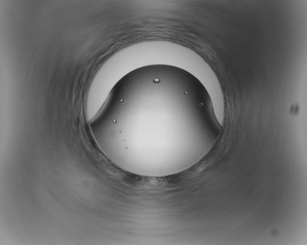 X0000112880329200909181854