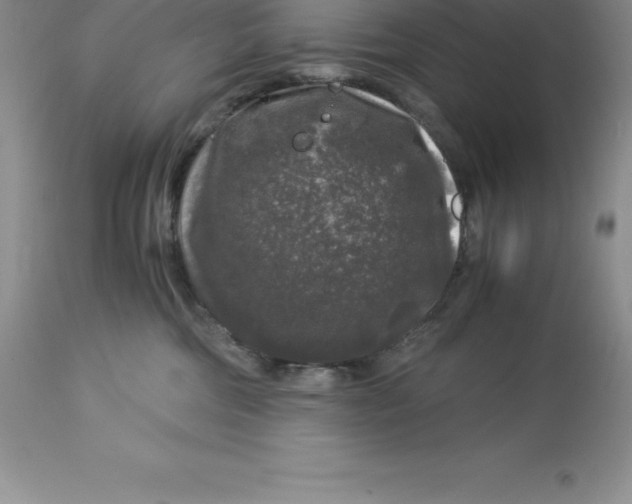 X0000112880330200909181854