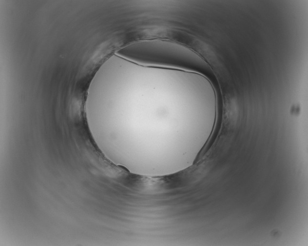 X0000112880333200909181854