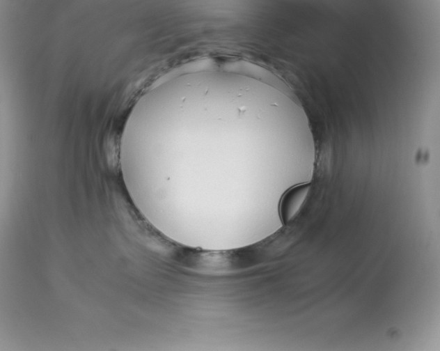 X0000112880335200909181854