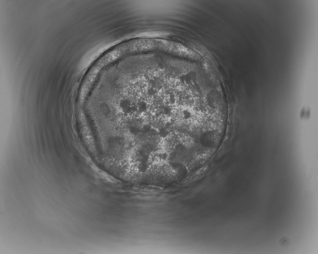 X0000112880337200909181853