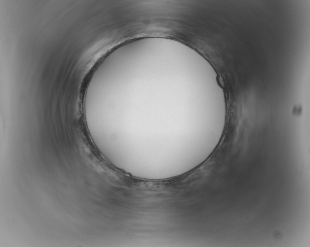 X0000112880338200909181853