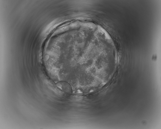 X0000112880339200909181853