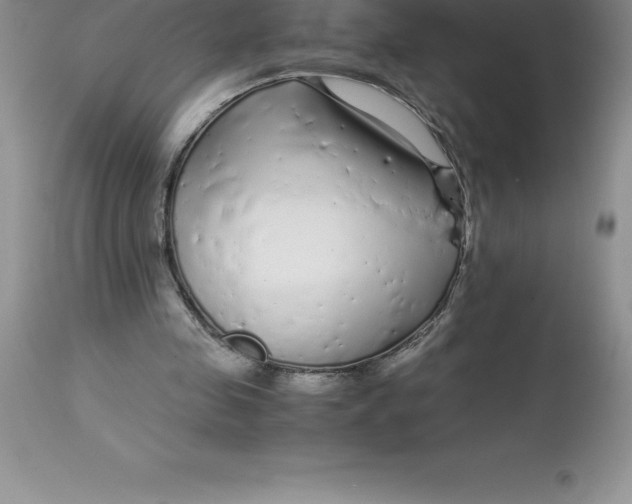 X0000112880341200909181853