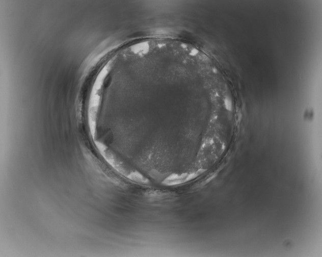 X0000112880343200909181853