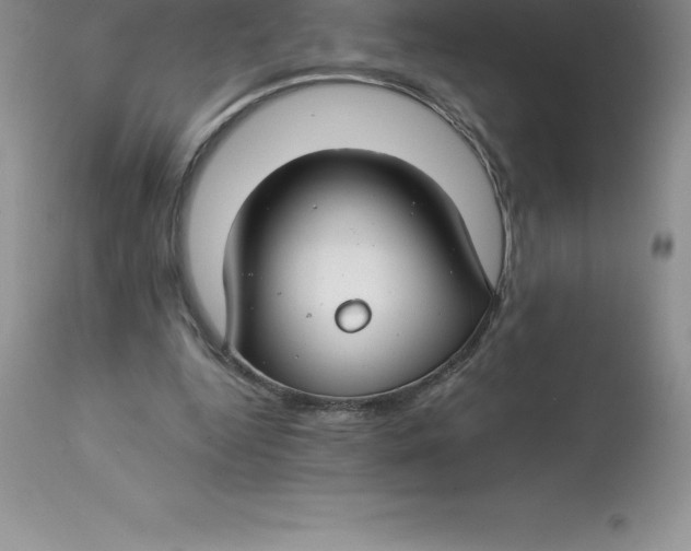 X0000112880344200909181853