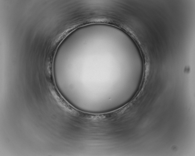 X0000112880345200909181853