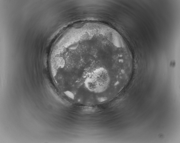 X0000112880347200909181853