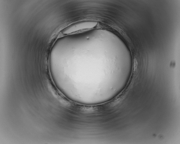 X0000112880349200909181853