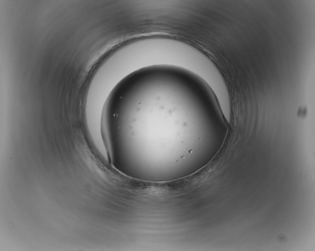 X0000112880350200909181853