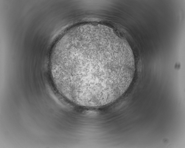 X0000112880352200909181853