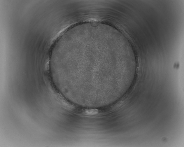 X0000112880355200909181853