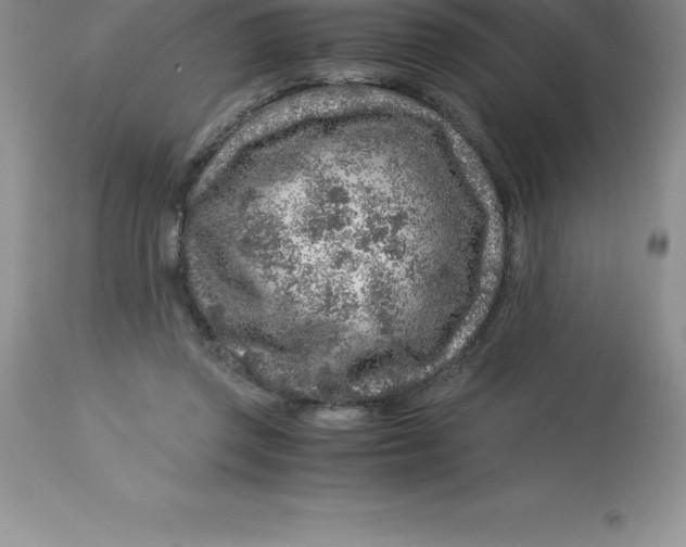 X0000112880357200909181853