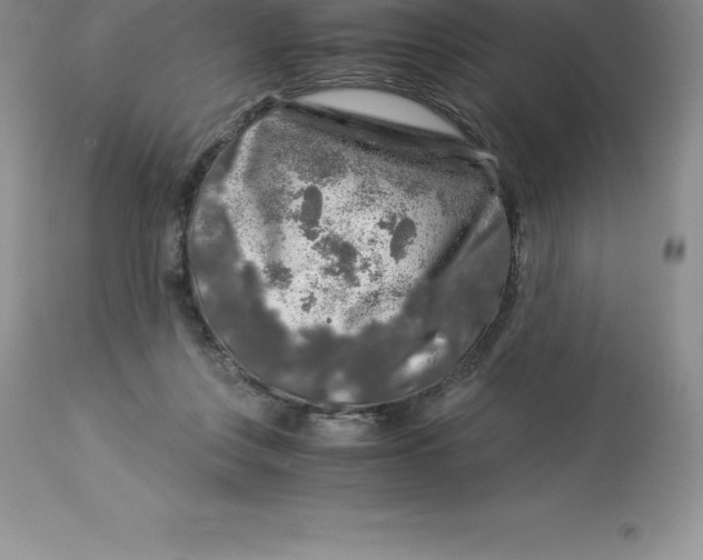 X0000112880359200909181854