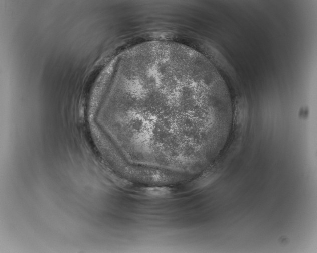 X0000112880363200909181854