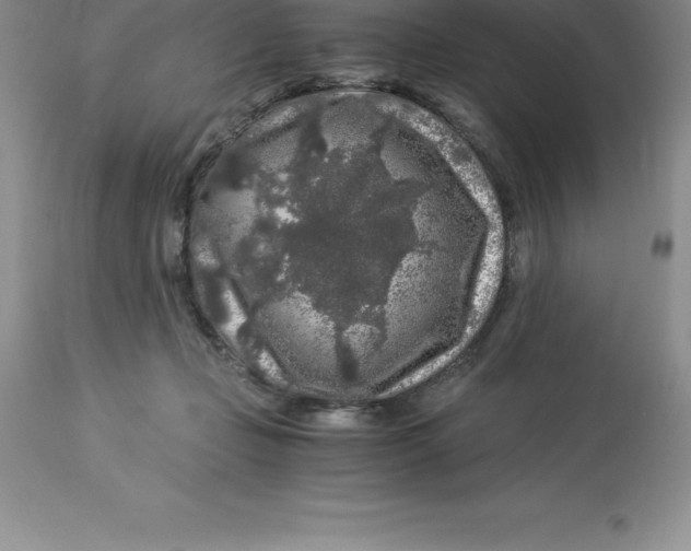 X0000112880365200909181854