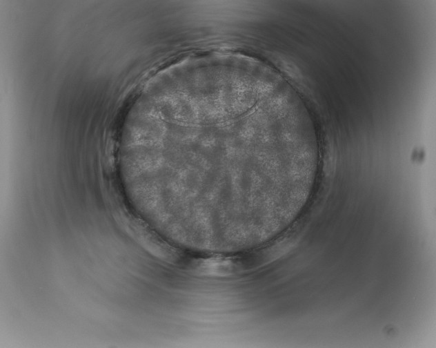 X0000112880366200909181854