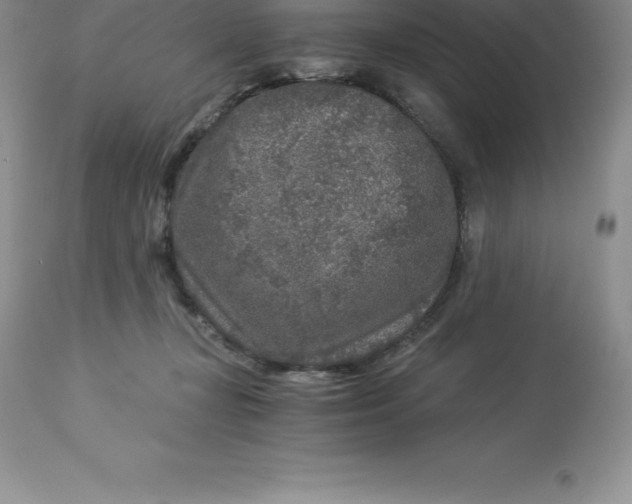 X0000112880367200909181854