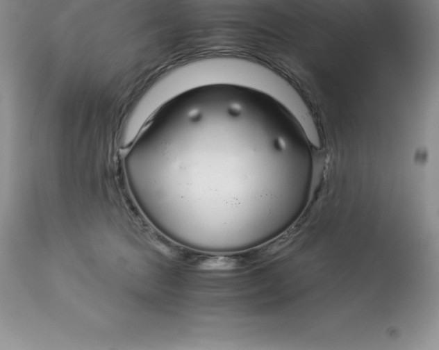 X0000112880369200909181854