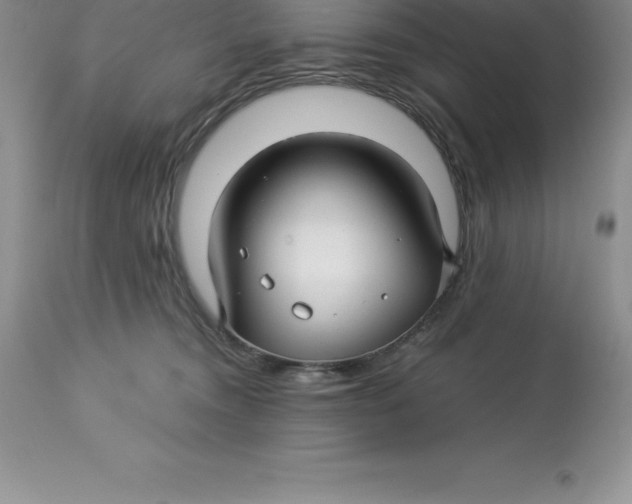 X0000112880372200909181854