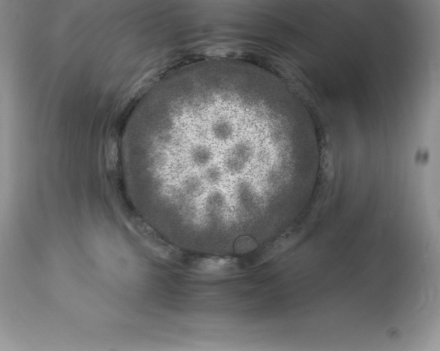 X0000112880375200909181854