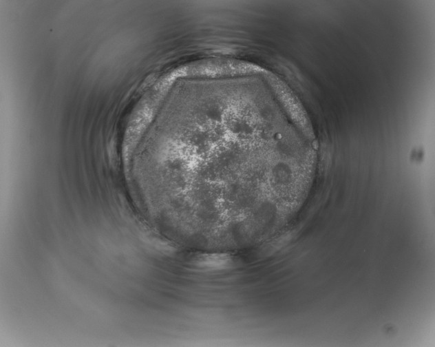 X0000112880377200909181854