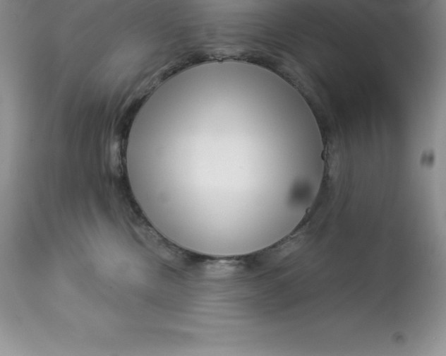 X0000112880378200909181854