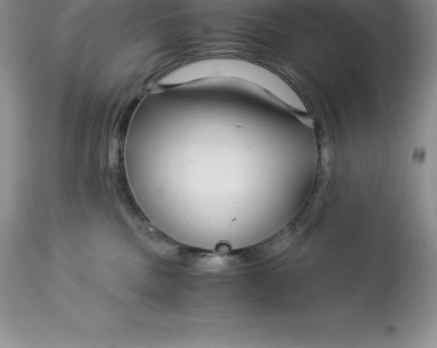 X0000112880379200909181854