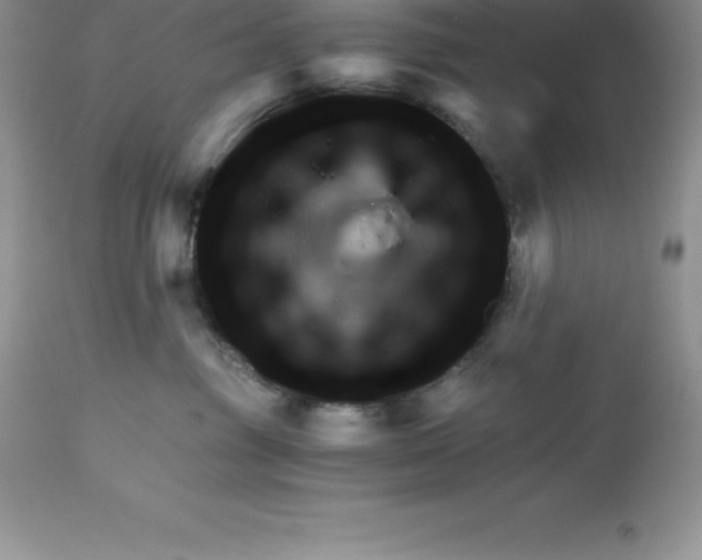 X0000112880381200909181854