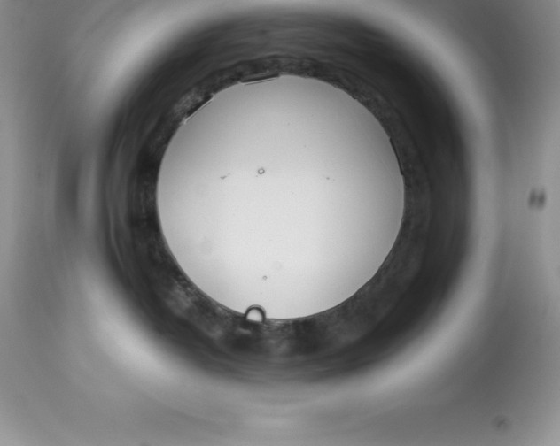 X0000112880382200909181854