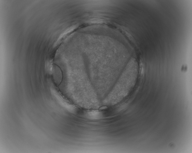 X0000112880383200909181854