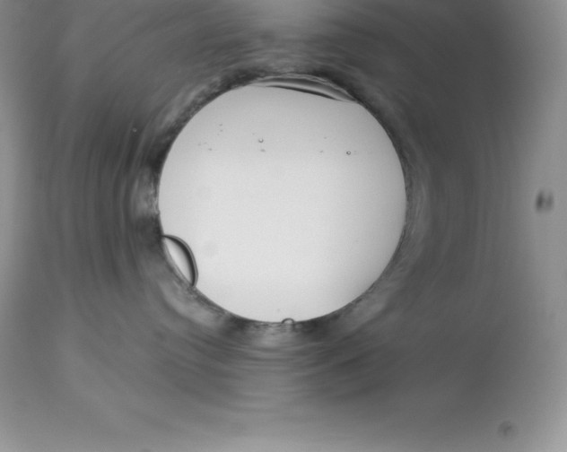 X0000112880384200909181854