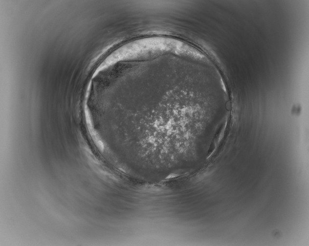 X0000112880386200909181853