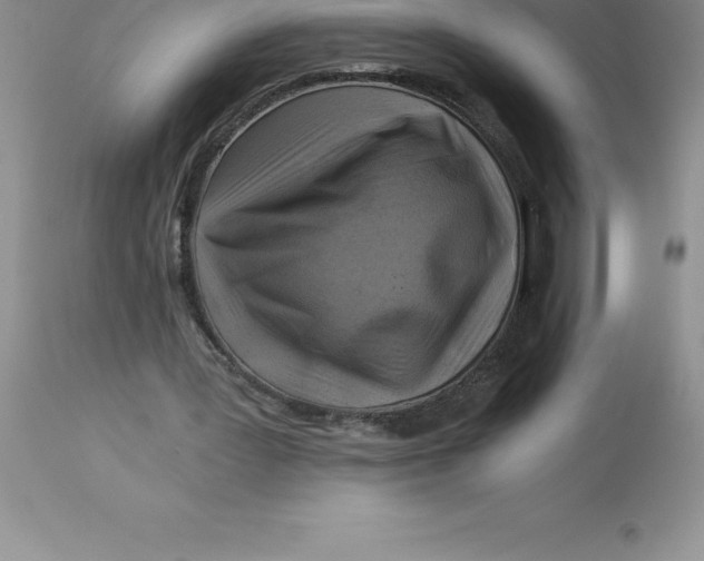 X0000112880387200909181853