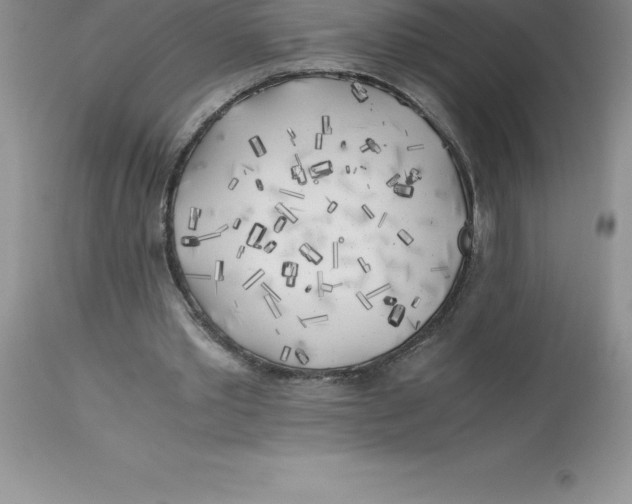 X0000112880389200909181853