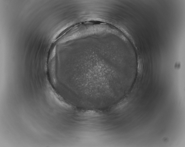 X0000112880390200909181853