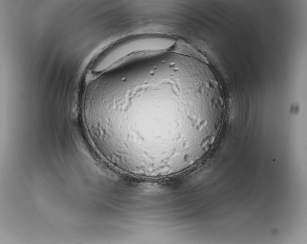 X0000112880392200909181853